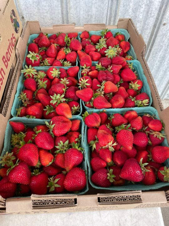Strawberries