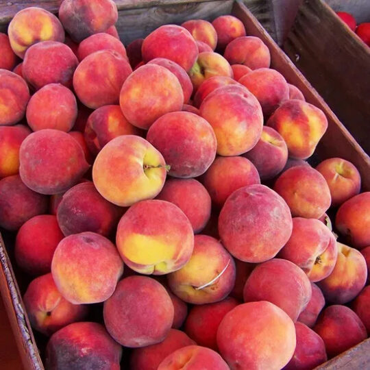 Peaches