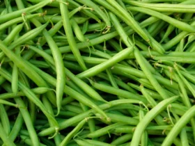 Green Beans