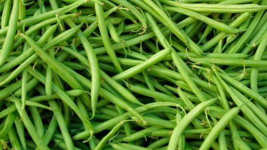 Green Beans