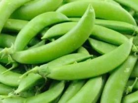 English Peas